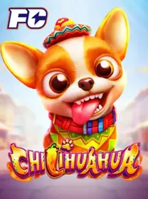 Chilihuahua dari FC